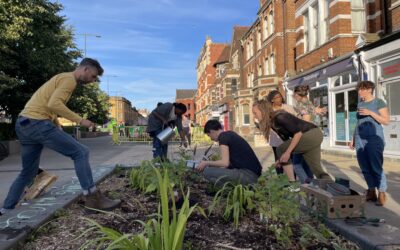 A group of people gardening