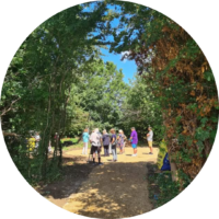 Small circular photo showing community garden in sunlight