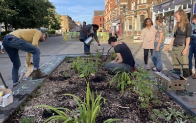 A group of people tending a community garden